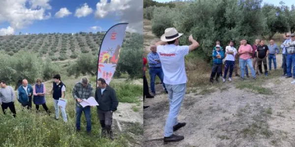 agricultura regenerativa