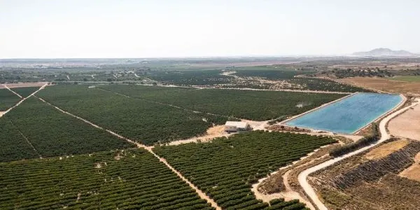 Zona de regadío intensivo en Campo de Cartagena (Murcia)