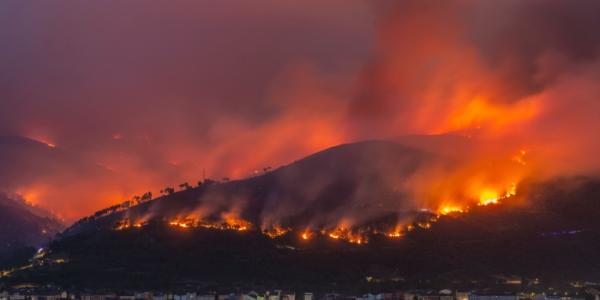 Incendio forestal 